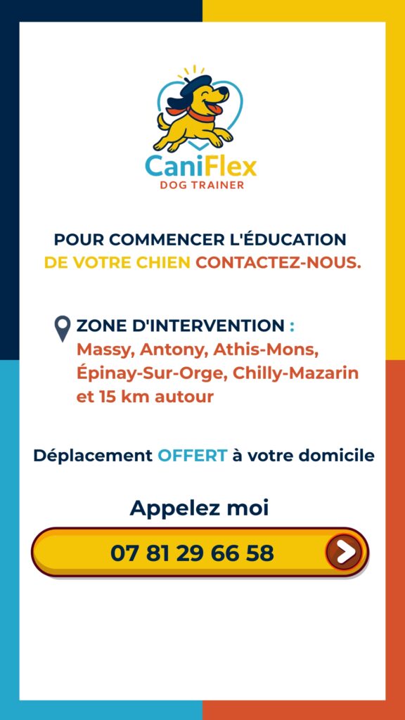 pour commencer l'éducation de votre chien contactez nous.